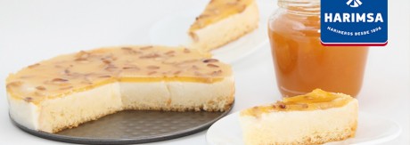 Pastel de queso Suizo con harinas Harimsa
